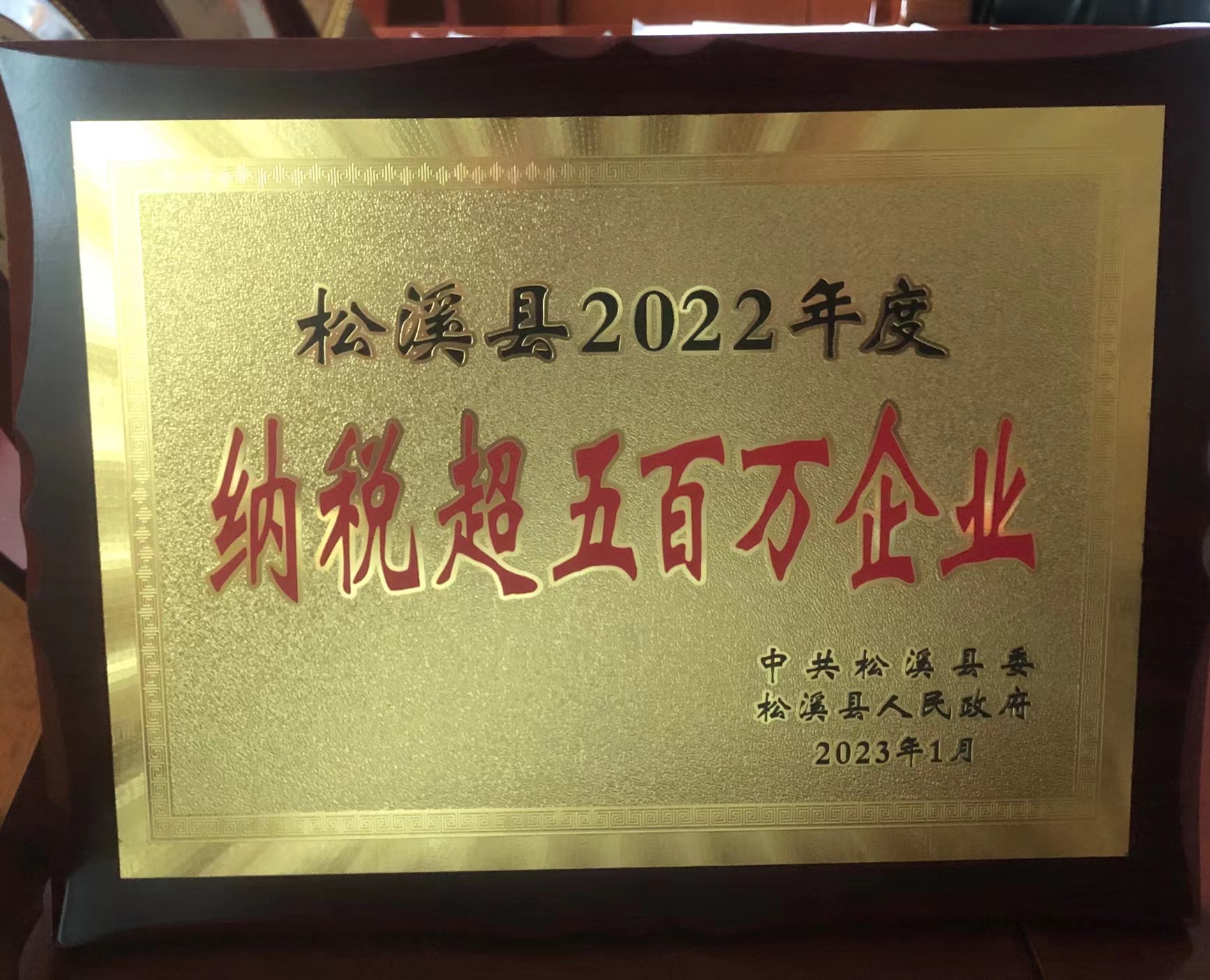 喜報(bào)！易順建工集團(tuán)喜獲“松溪縣2022年度納稅超五百萬(wàn)企業(yè)”榮譽(yù)