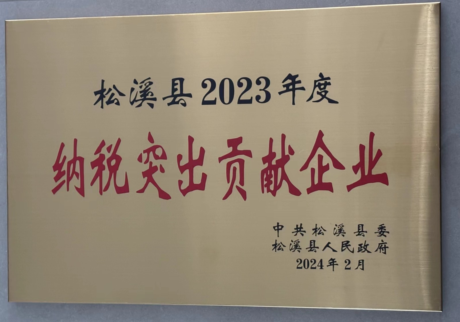 喜報(bào)！易順建工集團(tuán)榮獲“松溪縣2023年度納稅突出貢獻(xiàn)企業(yè)”稱號(hào)